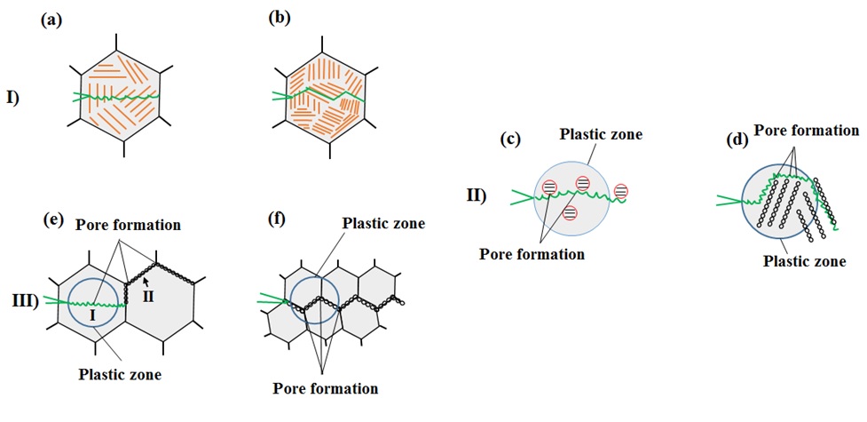 Graphical Abstract