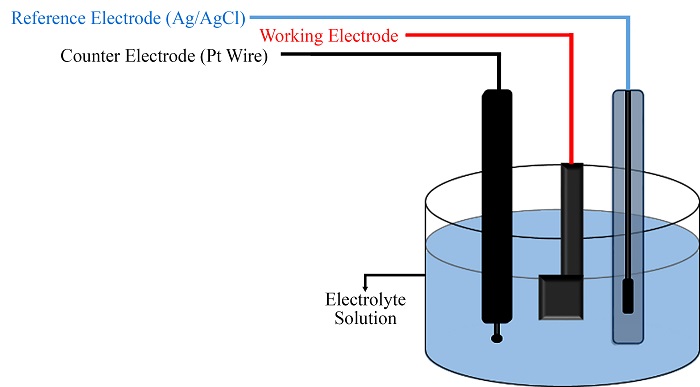 Graphical Abstract